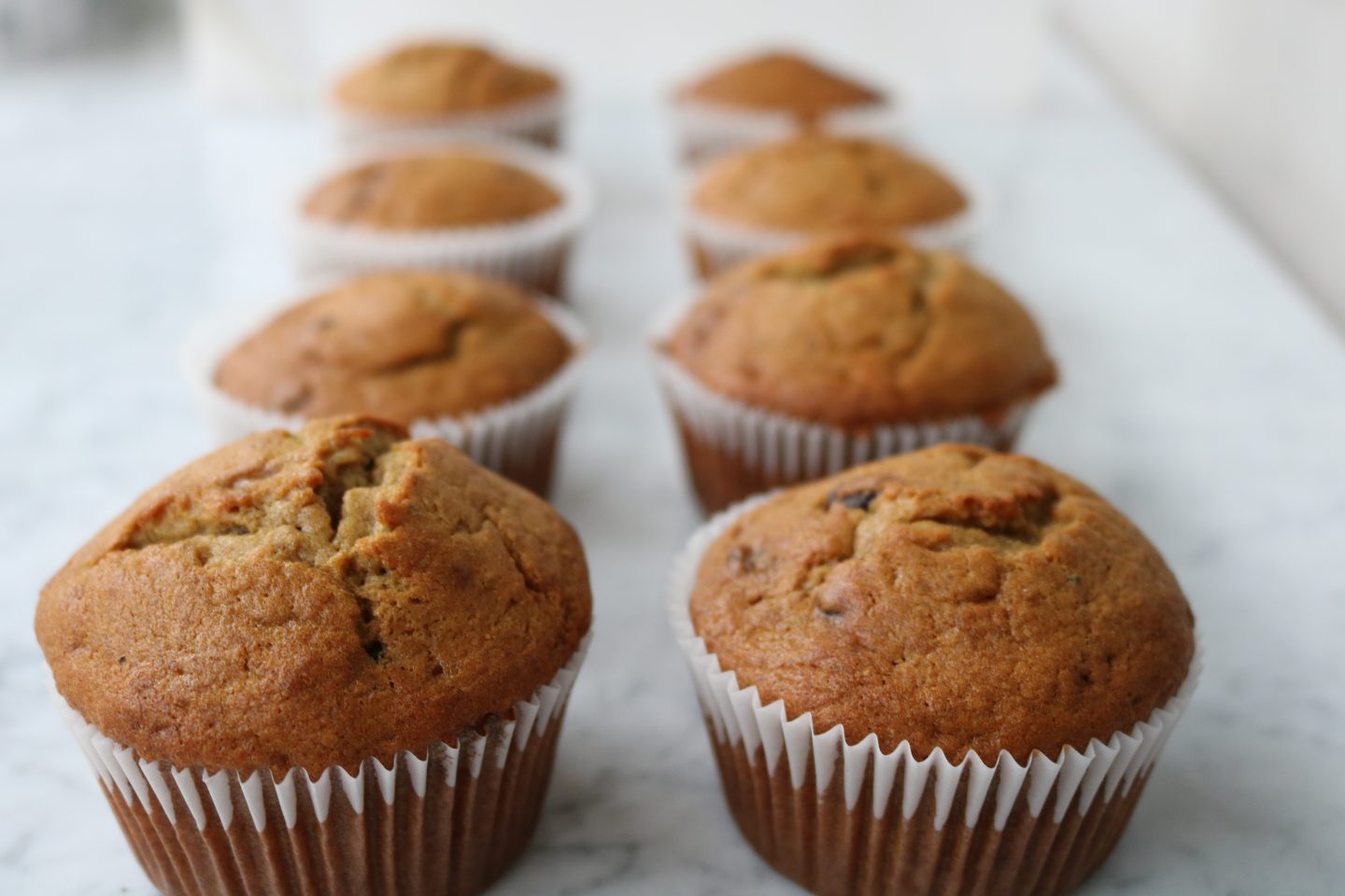 Gluten Free Blender Banana Muffins 