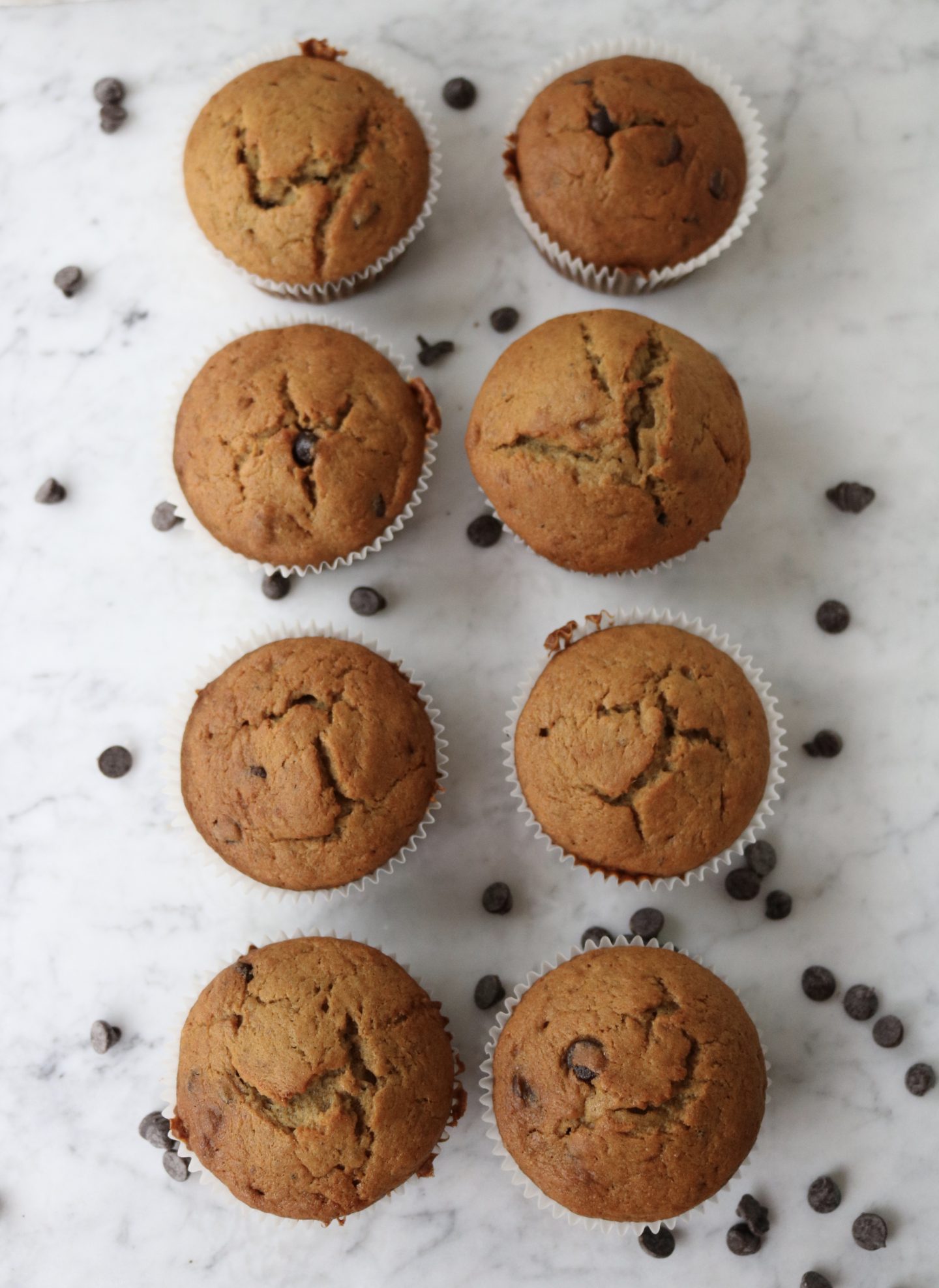 Gluten Free Blender Banana Muffins 