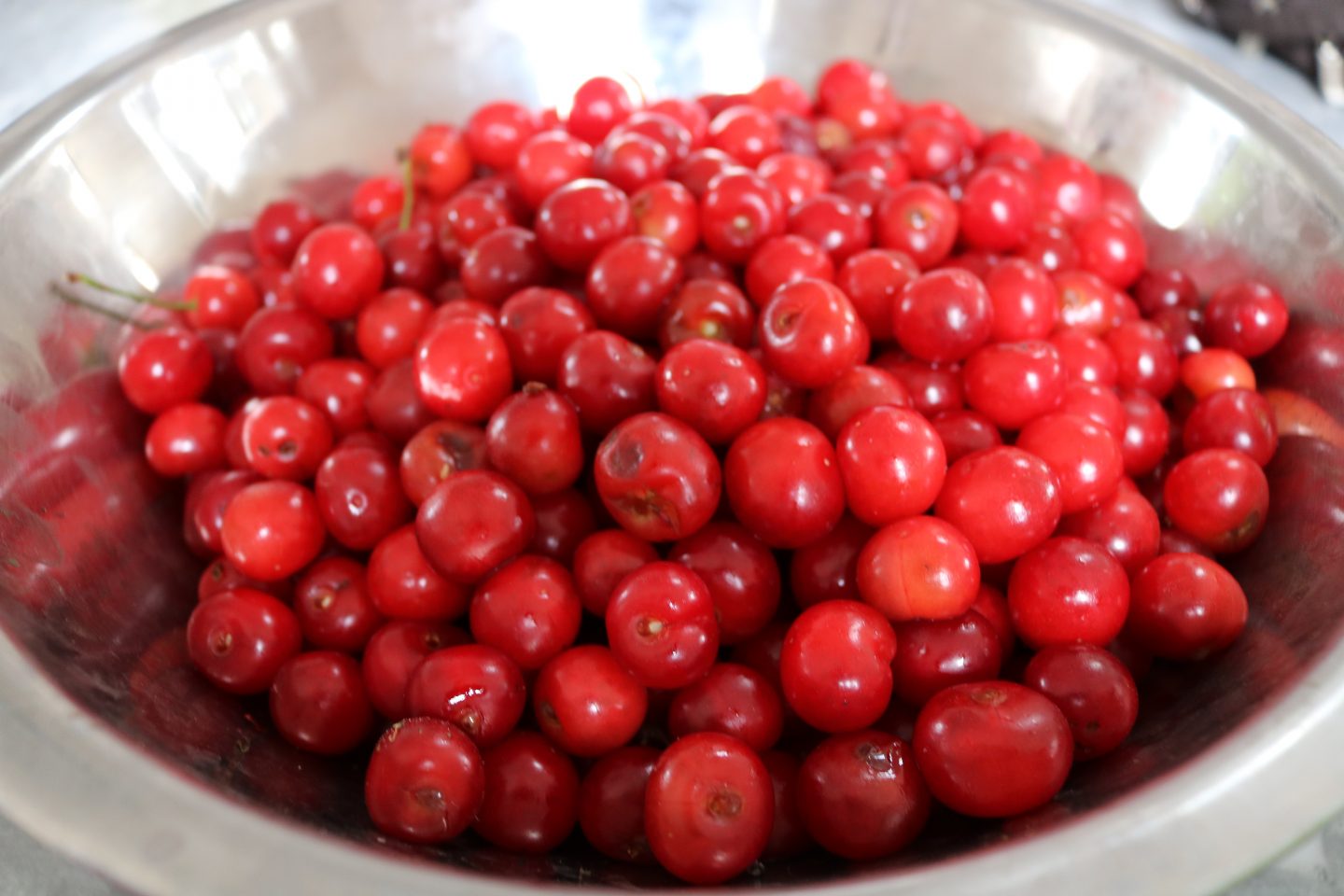 Tart Cherry Pies 